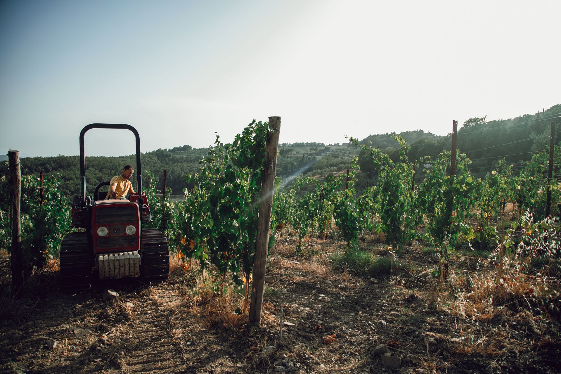 Altiero in Chianti